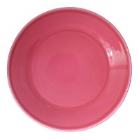 Grün & Form Speise Teller groß pink Himbeere