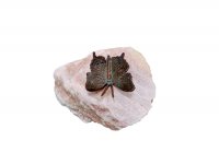 Bronze Schmetterling groß auf Rosariofindling